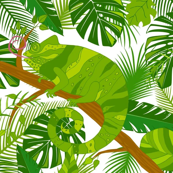 Roztomilý Kreslený Chameleon Stromě Tropickými Listy Vektorová Ilustrace Ručně Kreslený — Stockový vektor