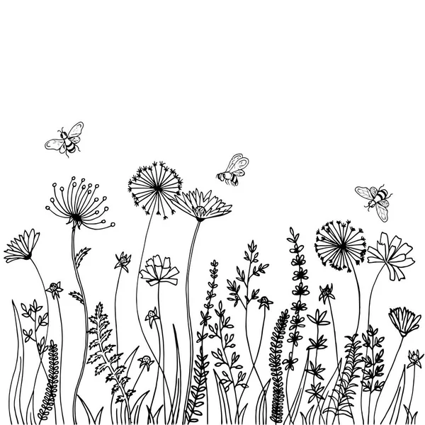 从白色背景中分离出的草 尖刺和草本植物的黑色轮廓 手绘素描花和蜜蜂 夏季纺织品和电话箱印刷模式 — 图库矢量图片