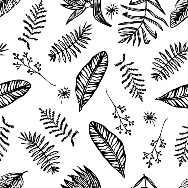 Красивый Черно Белый Вектор Тропических Листьев Векторная Иллюстрация Нарисованная Вручную — стоковый вектор
