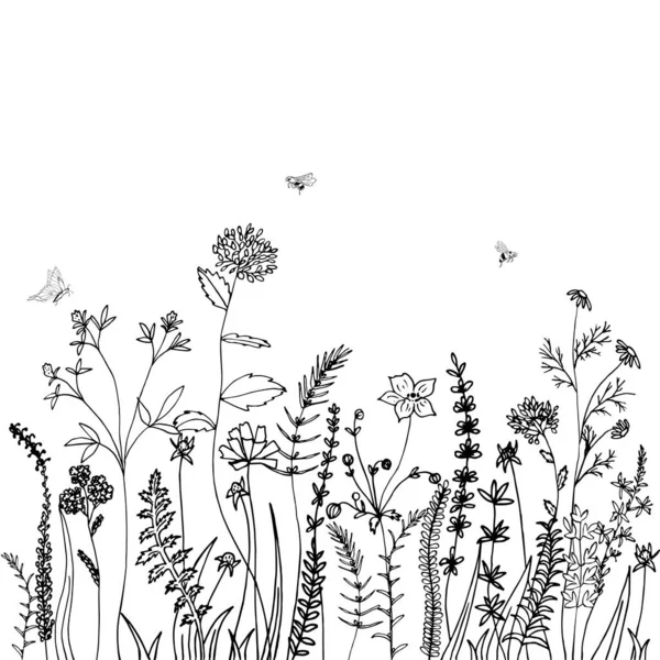 从白色背景分离出来的草 草本植物和昆虫的黑色轮廓 手绘素描花 可用于夏季纺织品和电话箱的印刷 — 图库矢量图片
