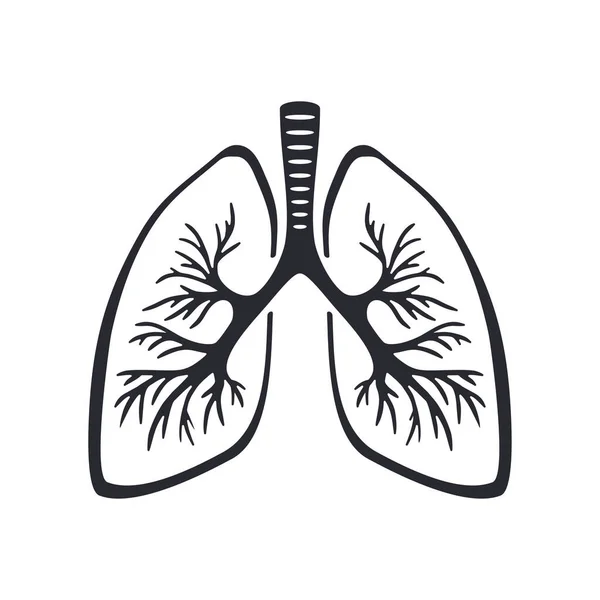 Silueta pulmonar con ramas traqueales — Vector de stock