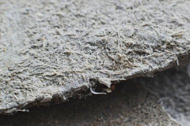Çatıdaki malzemelerin asbest lifleriyle detaylı fotoğraflanması. Sağlık zararlı ve zararlı etkiler. Mikroskobik liflerin uzun süre solunması akciğer kanseri de dahil olmak üzere ölümcül hastalıklara yol açar.. 