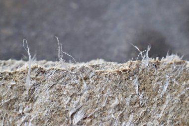 Çatıdaki malzemelerin asbest lifleriyle detaylı fotoğraflanması. Sağlık zararlı ve zararlı etkiler. Mikroskobik liflerin uzun süre solunması akciğer kanseri de dahil olmak üzere ölümcül hastalıklara yol açar.. 