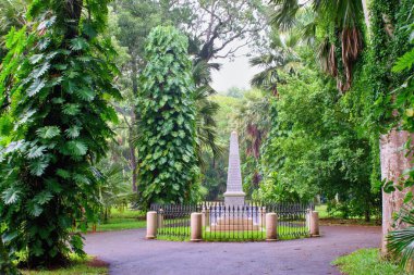 Pamplemousses, Mauritius - 28.2.2020: Sir Seewoosagur Ramgoolam Botanik Bahçesi - Yağmurlu bir günde tropikal orman