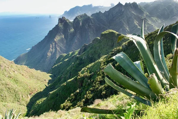 Vackra Kustlandskap Teneriffa Kanarieöarna Spanien Västra Kusten Utsikt Berg Anaga — Stockfoto