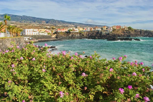 Caleta Costa Adeje Tenerife Canarische Eilanden Spanje — Stockfoto