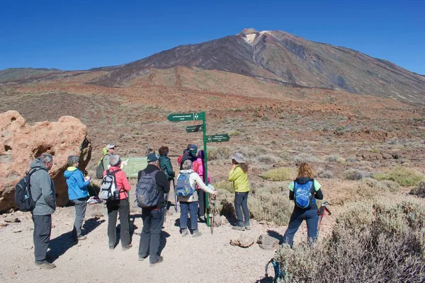 Vulkan Pico Del Teide Nationalpark Teneriffa Kanarieöarna Spanien 2018 Grupp — Stockfoto