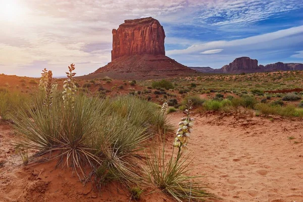 Monument Valley Navajo Parque Tribal Famosa Paisagem Deserto Eua Primavera — Fotografia de Stock