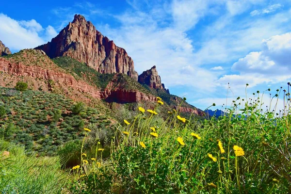 Zion Canyon Parque Nacional Bela Paisagem Primavera — Fotografia de Stock