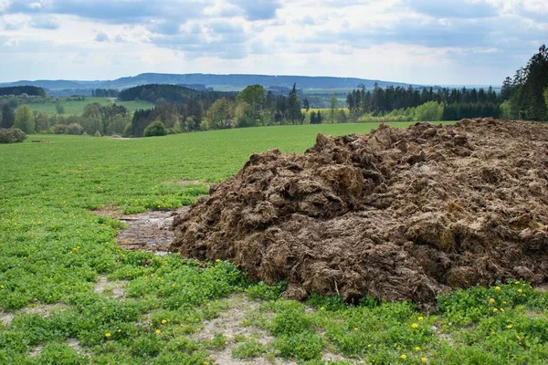 フィールド上の農地肥料の山 ヨーロッパの農業風景 — ストック写真