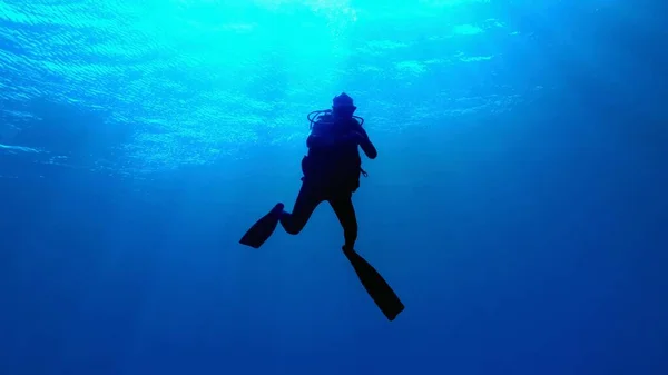 Mergulhador Água Azul Descendo Para Profundidade — Fotografia de Stock