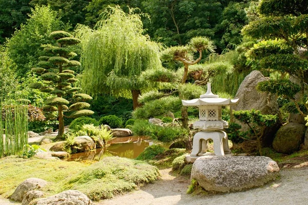 Magnifique Jardin Japonais Décoratif Été — Photo