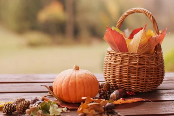 Herbstliche Dekoration Mit Kürbissen Und Bunten Blättern Weicher Fokus — Stockfoto