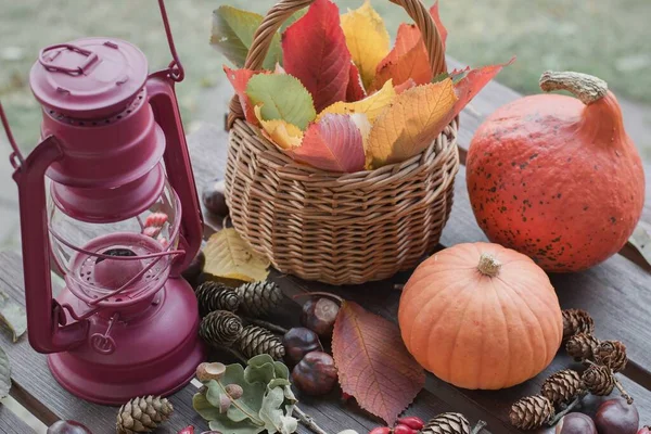 Herbstliche Dekoration Mit Kürbissen Und Bunten Blättern Weicher Fokus — Stockfoto