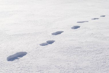 Taze karda yol ve insan ayak izleri