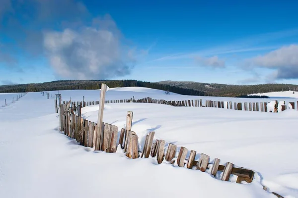 Bonita Paisagem Branca Inverno Europeu Nevado — Fotografia de Stock