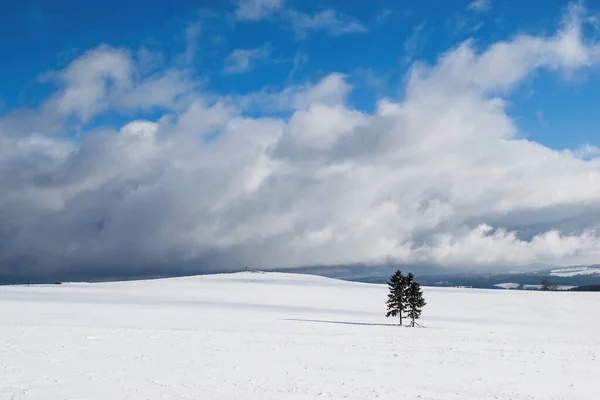 Paisagem Inverno Europeu Nevado Com Árvores Solitárias — Fotografia de Stock