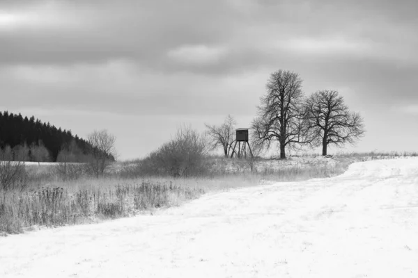 Preto Branco Inverno Paisagem Minimalista — Fotografia de Stock