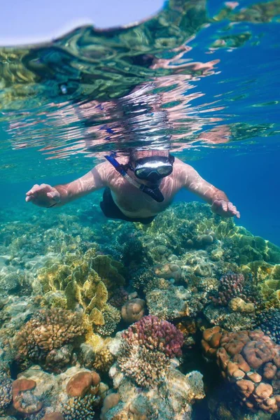 透明水の中で熱帯サンゴ礁の上をシュノーケリングする男 — ストック写真
