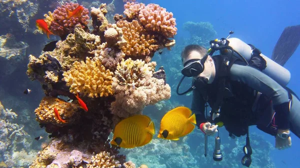 Mergulhador Homem Perto Recife Coral Com Belos Corais Peixes Borboleta — Fotografia de Stock