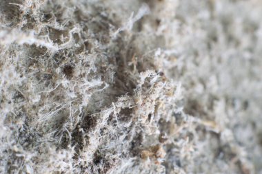 Asbest lifli yapısal materyallerin detaylı fotoğrafları. Sağlık zararlı ve zararlı etkiler. Mikroskobik liflerin uzun süre solunması akciğer kanseri de dahil olmak üzere ölümcül hastalıklara yol açar.. 