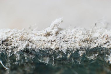 Asbest lifli yapısal materyallerin detaylı fotoğrafları. Sağlık zararlı ve zararlı etkiler. Mikroskobik liflerin uzun süre solunması akciğer kanseri de dahil olmak üzere ölümcül hastalıklara yol açar.. 