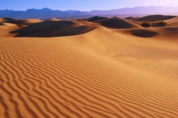 Mesquite Flat Písečné Duny Pouštní Krajina Death Valley Kalifornie Usa — Stock fotografie