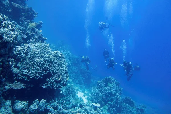 Sharm Sheikh Egipt 2019 Zespół Nurków Błękitnej Wodzie Głębinowej Parku — Zdjęcie stockowe