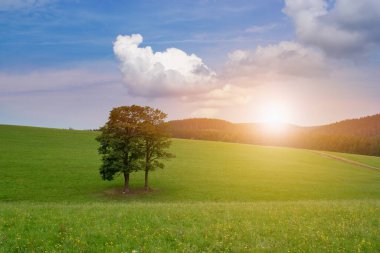 Tepeler, ağaçlar, çayırlar ve güzel parlayan güneşli güzel yaz manzarası..