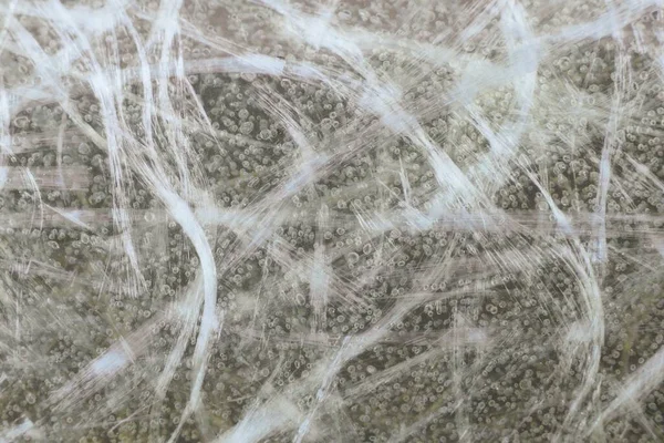 Fiberglas doku, Cam Güçlendirilmiş Plastik