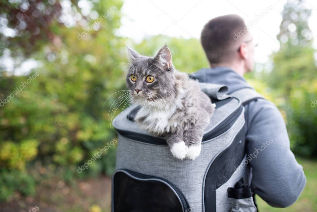 carrying cat inside of backpack outdoors