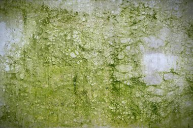 yosunlu yeşil çatlamış beton arka plan