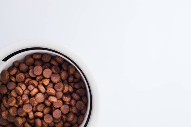 Evcil hayvan bakımı, oyun ve antrenman. Oyuncaklar, aksesuarlar ve beyaz arka planla besleniyorlar. Üst Manzara. Metin için boşluk.