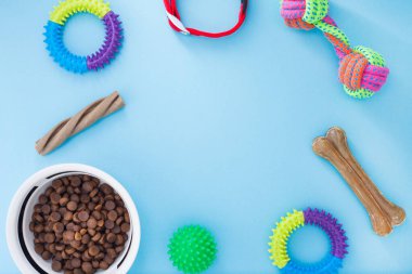 Evcil hayvan bakımı, oyun ve antrenman. Oyuncaklar, aksesuarlar ve kuru yiyecekler mavi arka planda. Üst Manzara. Metin için boşluk.