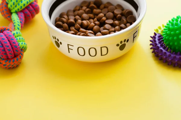 Evcil hayvan bakımı, oyun ve antrenman. Oyuncaklar, aksesuarlar ve kuru yiyecekler sarı arka planda. Üst Manzara. Metin için boşluk.