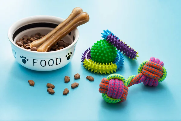 Evcil hayvan bakımı, oyun ve antrenman. Oyuncaklar, aksesuarlar ve kuru yiyecekler mavi arka planda. Üst Manzara. Metin için boşluk.