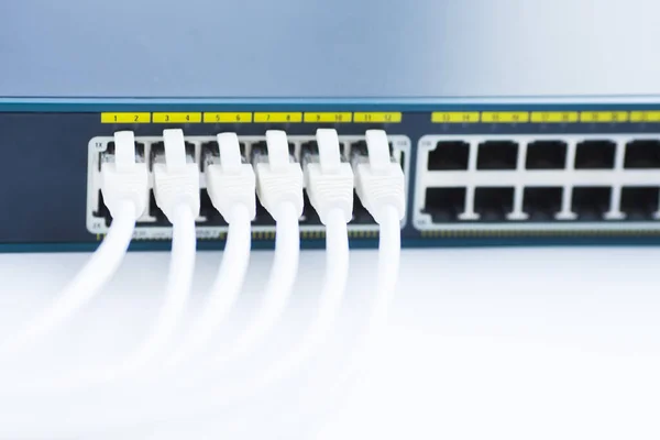 Koncepcja Sieci Korporacyjnej Zestaw Przełączników Ethernetowych Punktów Dostępowych Kabli Złączy — Zdjęcie stockowe