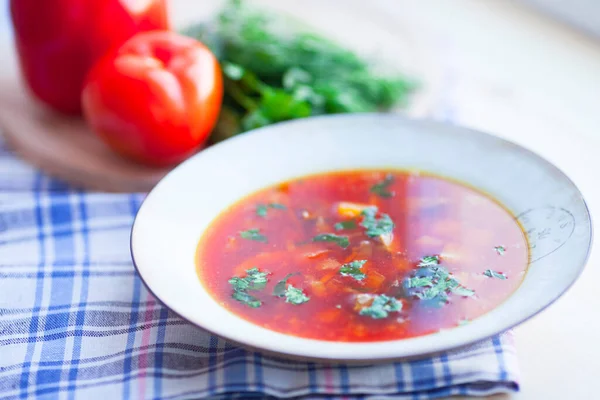 Borsch Traditional Ukrainian Russian Soup Meat Beets Cabbage Red Soup — Stock Photo, Image