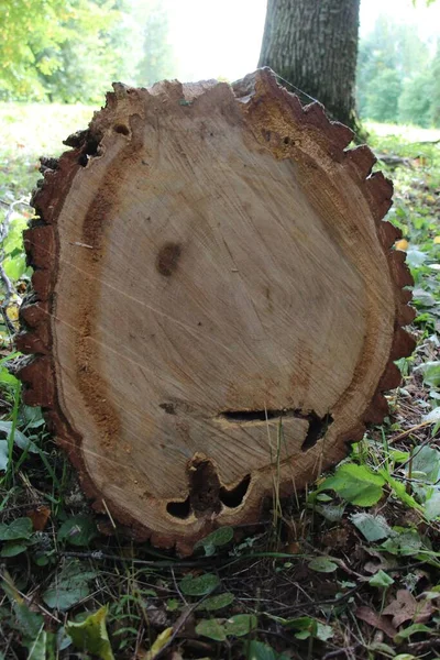 Legno Segato Fresco Vicino Come Sfondo Naturale Trama — Foto Stock