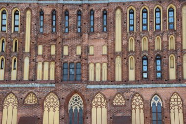 Duvar parçası doğal bir arkaplan ya da doku olarak