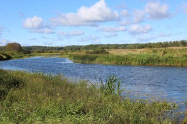 Güneşli bir eylül gününde yeşil tarlalarda nehir yatağı manzarası