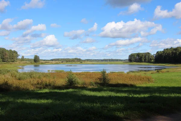 Green Fields Lake Horizon Shade Forest Foreground Sunny September Day — Stock Photo, Image