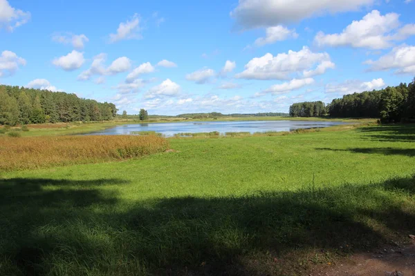 Campos Verdes Lago Horizonte Sombra Del Bosque Primer Plano Soleado —  Fotos de Stock