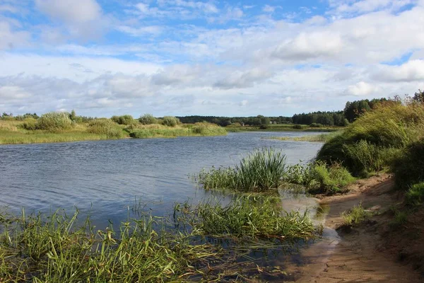 View Shore River Bed Sunny September Day — Stock Photo, Image