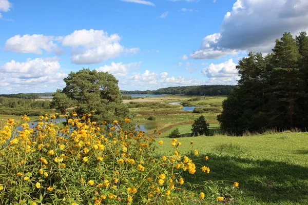 Picturesque View Valley River Bay Meadows Summer Sunny Day View Royalty Free Stock Images