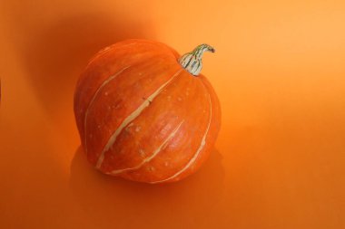 Turuncu arkaplanda balkabaklarının yakın plan (makro çekim) 