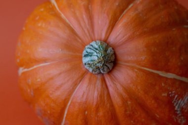 Turuncu arkaplanda bir balkabağı parçasının (makro çekim) yakın çekimi 