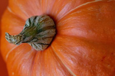 Turuncu arkaplanda bir balkabağı parçasının (makro çekim) yakın çekimi 