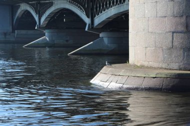 Güneşli bir günde, köprünün tabanında deniz kenarında martı.