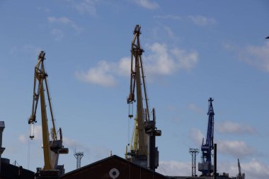 İki sarı ve bir mavi vinç gökyüzüne karşı binaların çatıları üzerinde